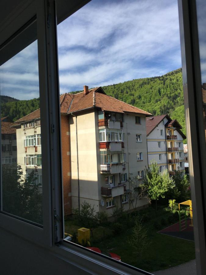 Patricia Apartment Sinaia Exteriör bild